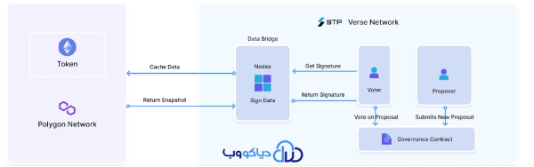 ارتباط STP